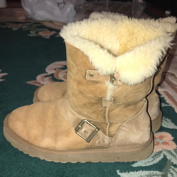 brown short uggs w buckle! classic short dylan - Picture 4 of 6